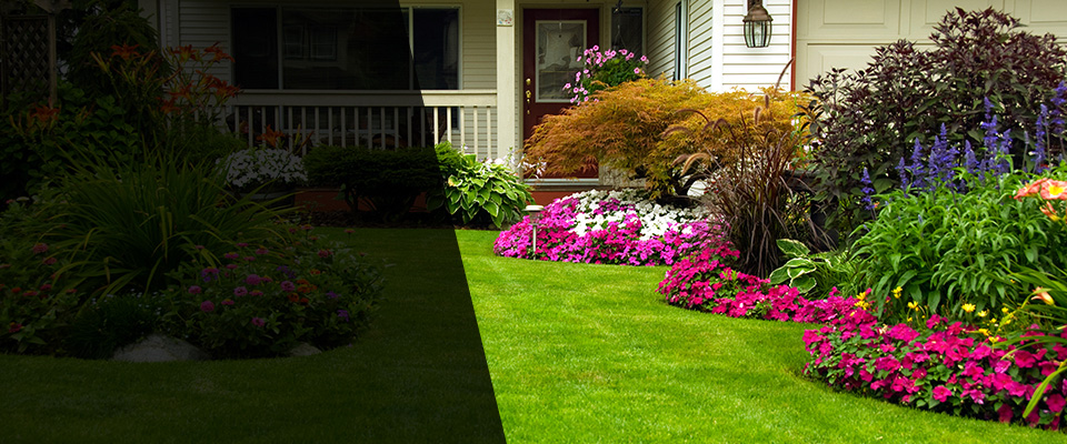 Joppa Landscapers