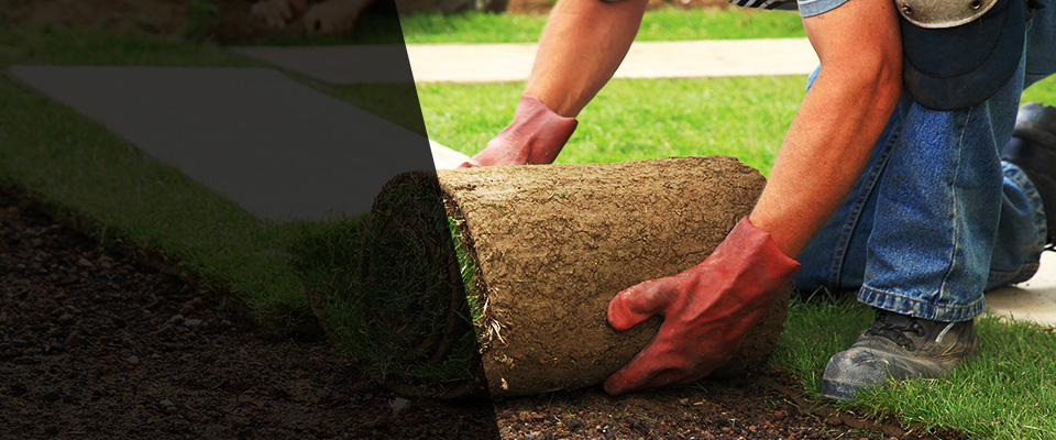 Joppa Landscapers